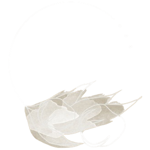 cropped-cropped-logotipo-helena-prueba-negativo.png