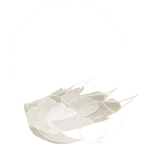 logotipo-helena-prueba-negativo